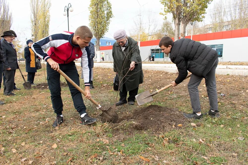 Трудовой десант в школе. Трудовой десант в школе в огороде. Название трудового десанта. Трудовой десант в лагере. Трудовые мероприятия в школе