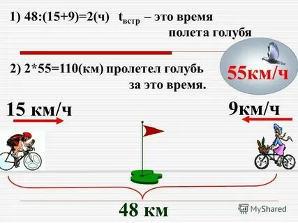 Скорость голубя 55