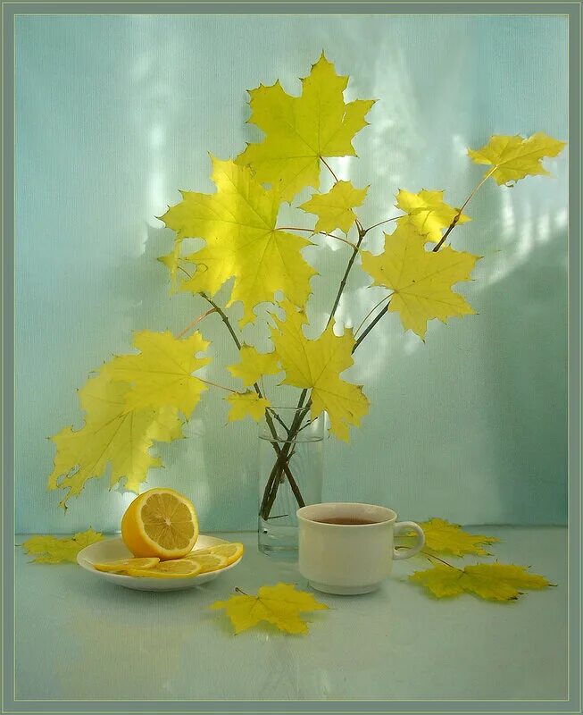 Креативно осенние листья и чашка. Оригинальные пожелания с добрым осенним утром. Осень чай. Осенний кофе. Чашка кофе осень.