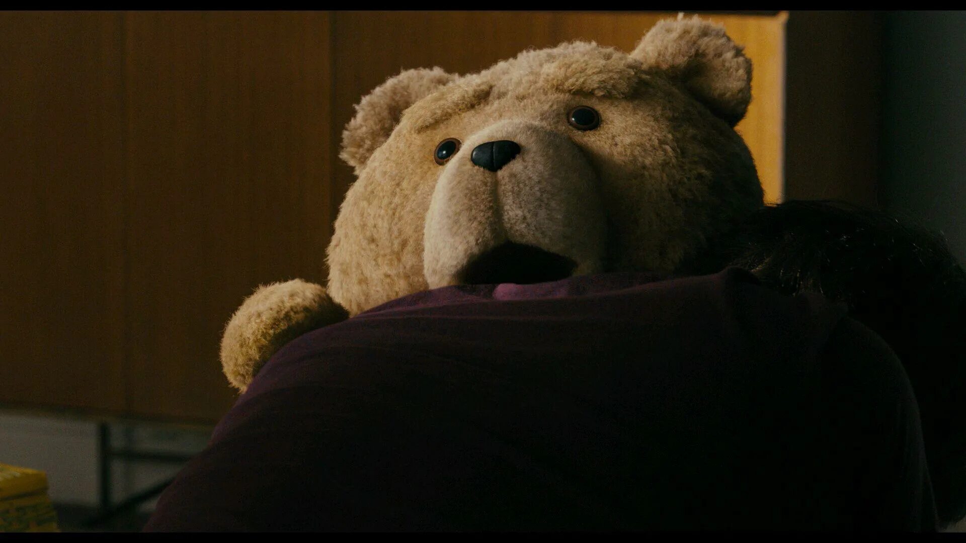 Третий лишний тэд. Тед 2012. Третий лишний / Ted (2012). Медведь Тед. Мишка Тед третий лишний.
