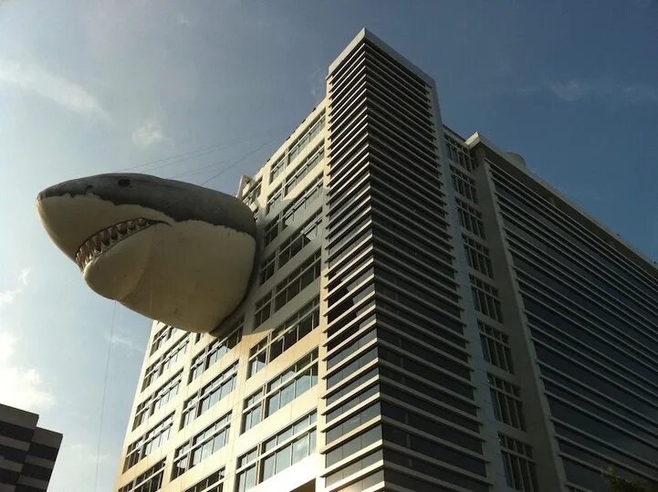 Здание в виде акулы. Дом с акулой в крыше. Дом в форме акулы. Дискавери здание. Channels building