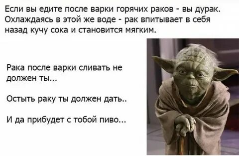 Реклама дураков