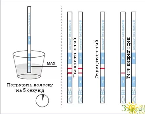 Правильное использование теста. Как делать тест для беременных. Как пользоваться тестом для беременных. Как делать тест полоску. Тест полоска как пользоваться.