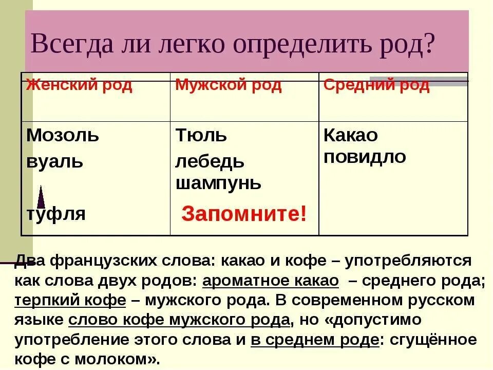 Первые какой род. Мозоль какой род. Род слова мозоль. Мозоль род существительного род. Род слова какао.