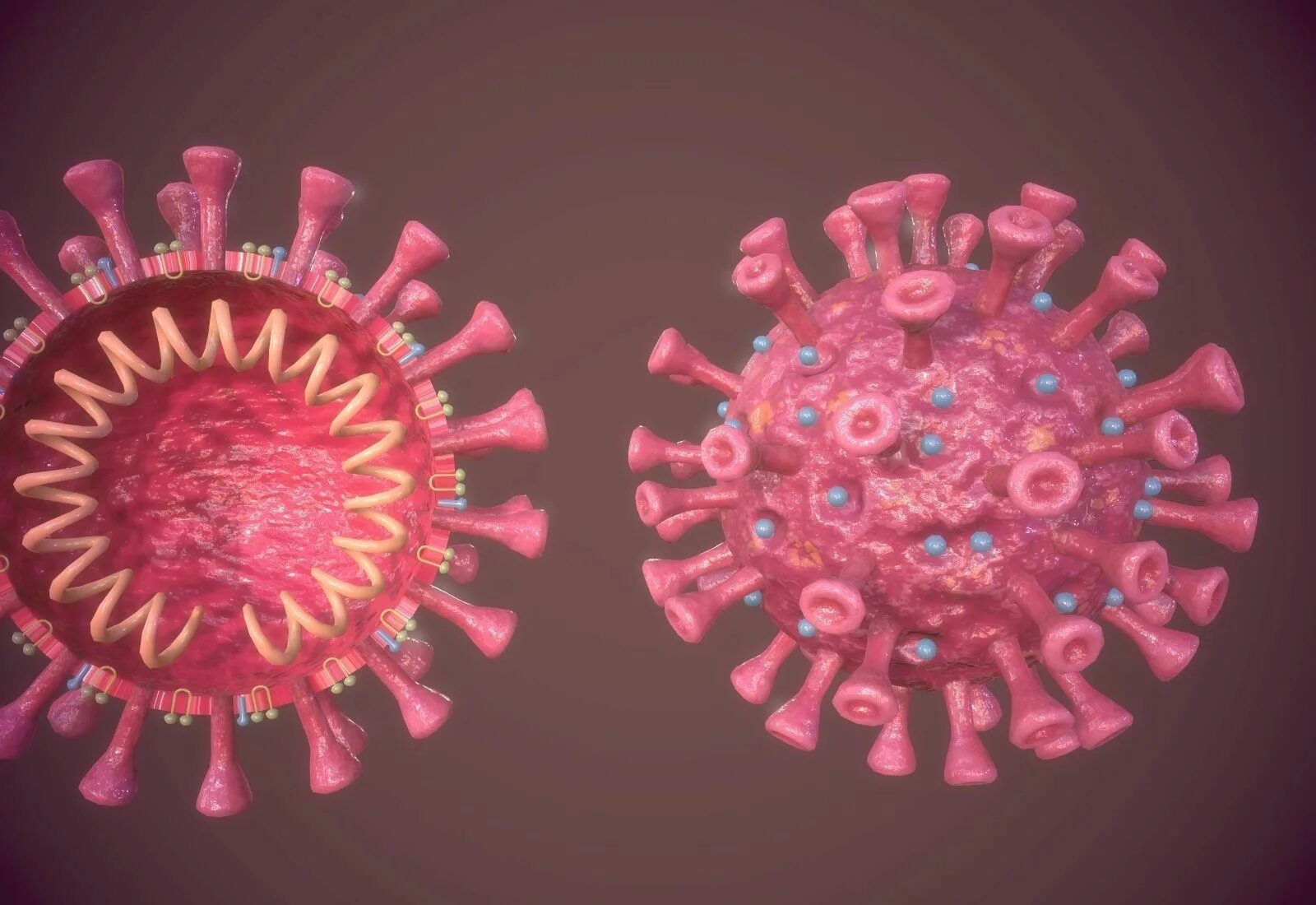 Коронавирус 3д. Вирус кори микробиология 3д модель. 3д модель коронавируса. 3д модель вируса ВИЧ.