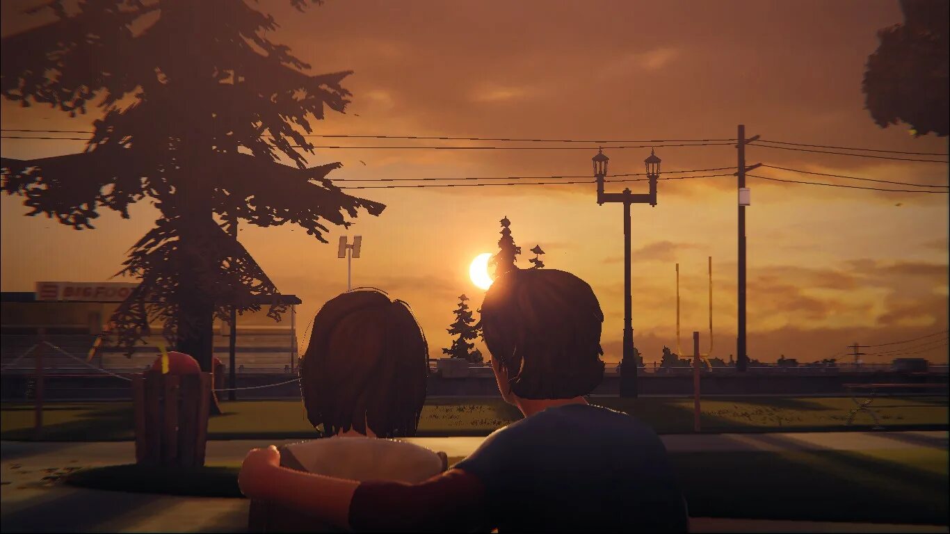 Life is warmed. Life is Strange лес. Лайф ИС Стрендж пейзажи. Пейзажи из Life is Strange 2. Лайв Миз мстрендж мпейзаж.