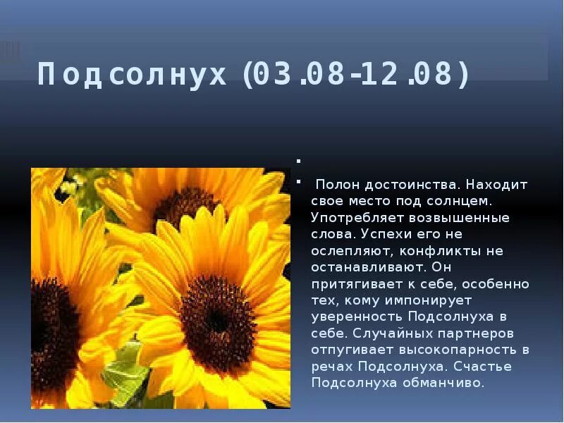 Цветок львов по гороскопу. Цветы по гороскопу. Цветочный гороскоп. Цветочный гороскоп по знаку зодиака. Сообщение о подсолнухе.