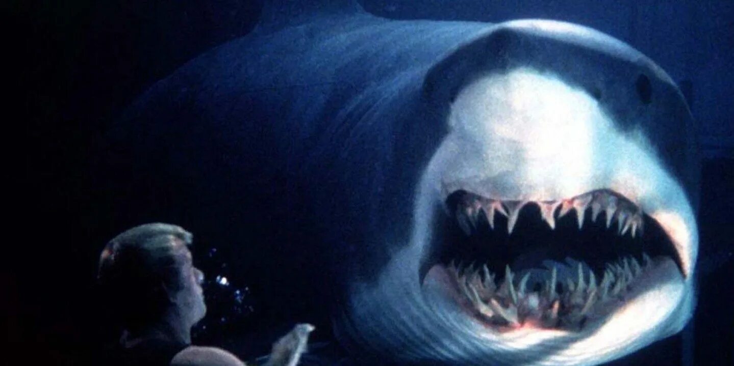Рейтинг ужасов про акул. Ужасы глубокое синее море. Глубокое синее море акулы.