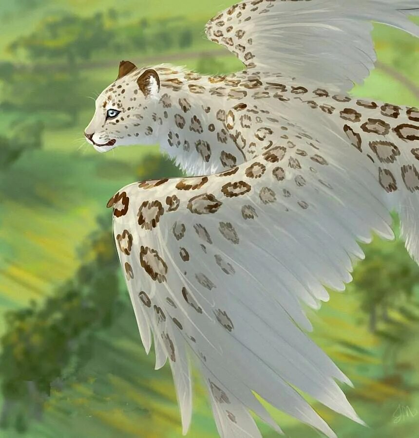 Барс и рысь. Крылатый Ирбис мифология. Крылатый леопард. Оцелот альбинос. Снежный Барс альбинос.