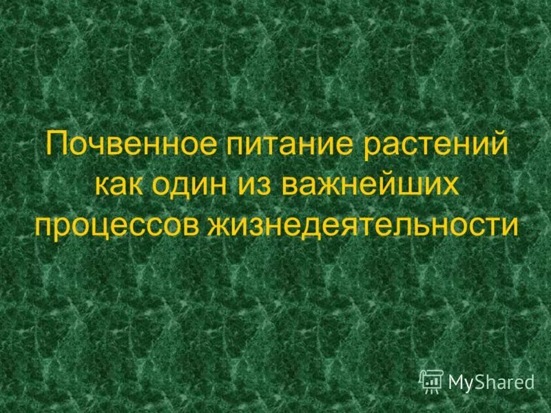 процессы жизнедеятельности растений изучает наука