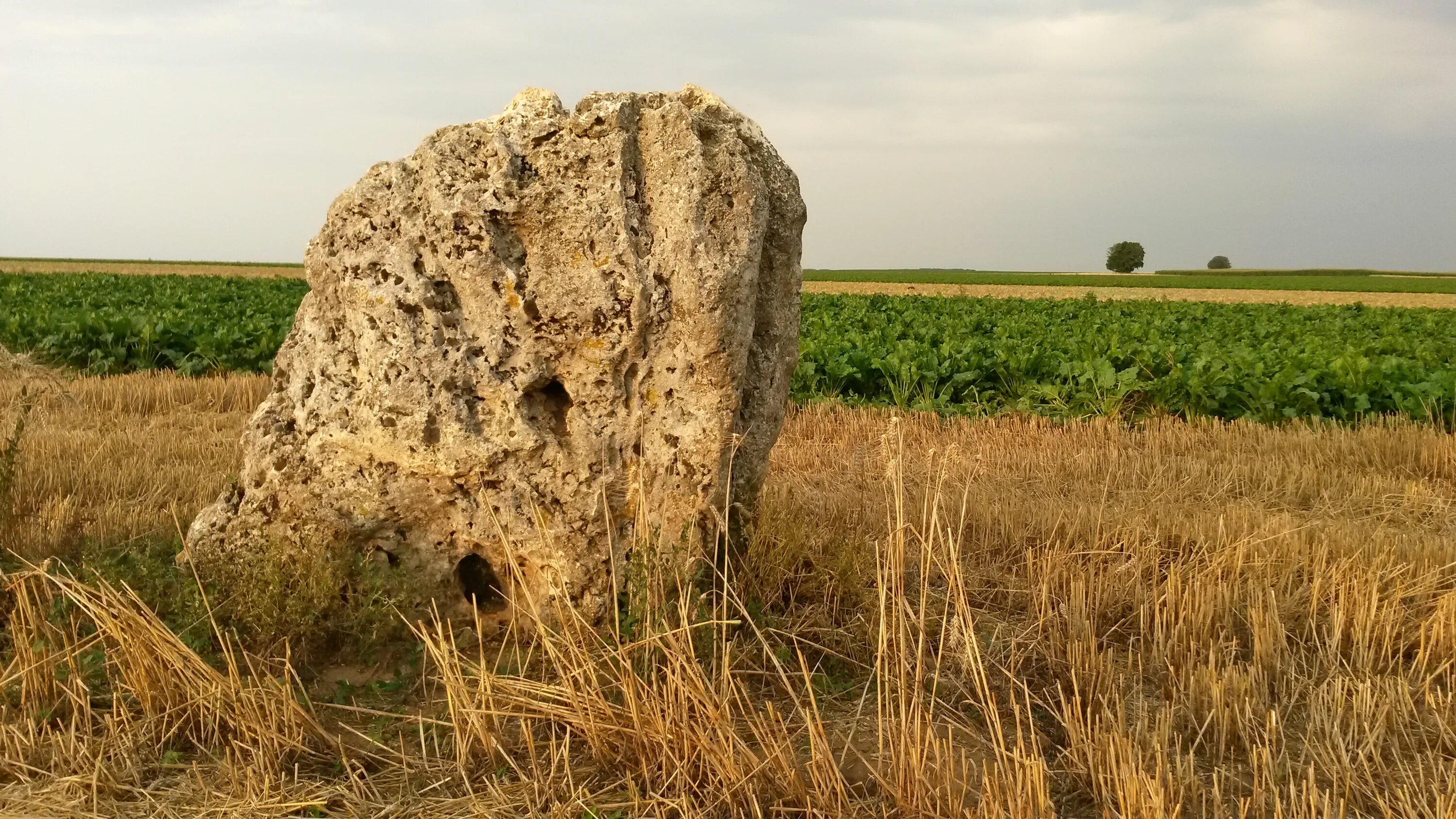 Stone long. Длинный валун. Длинный камень. Скульптура из камней в виде лица. Long Stone.