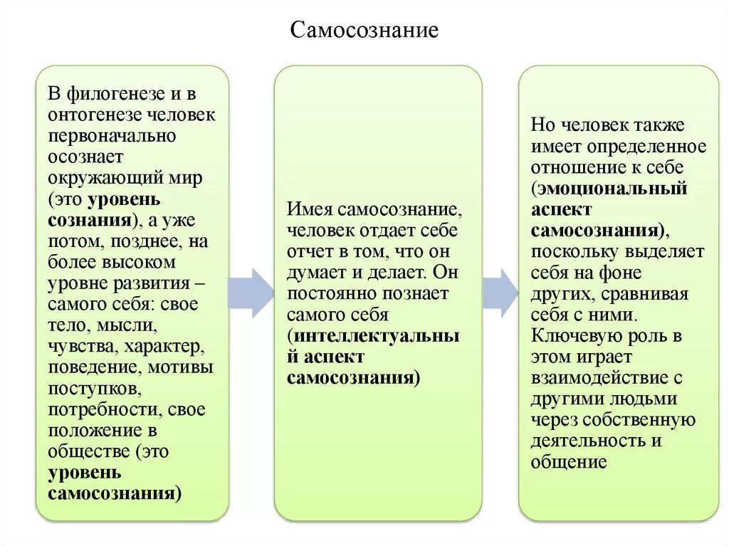 Условие развития сознания. Этапы становления самосознания. Этапы развития сознания в филогенезе. Формирование сознания в онтогенезе. Стадии развития самосознания.