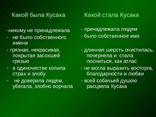 Герои произведения кусака. План произведения кусака. Кусака Андреев план рассказа. План по произведению кусака Андреев.