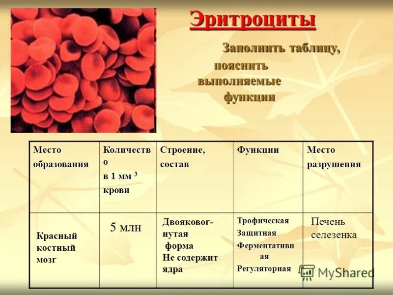 Эритроциты 3 3 у мужчин. Название эритроциты лейкоциты тромбоциты таблица. Эритроциты лейкоциты тромбоциты таблица. Плазма форменные элементы эритроциты лейкоциты тромбоциты таблица. Сравнительная таблица эритроциты лейкоциты тромбоциты.