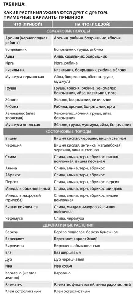 Можно ли совмещать прививку. Совместимость прививок плодовых деревьев таблица. Таблица совместимости прививки плодовых деревьев. Таблица совместимости вакцин. Привой подвой таблица.