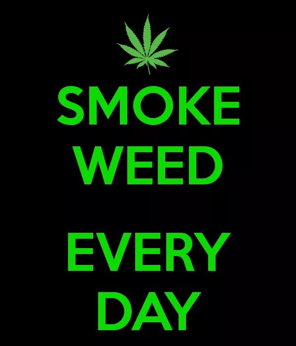 Смок эври Дэй. Smoke Weed every. Smoke Weed every Day. Мем Smoke every Day. Смок перевод