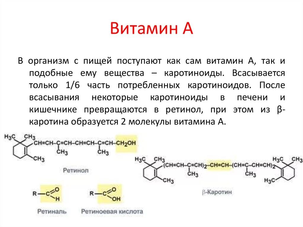 Образуется в кишечнике и печени из каротина