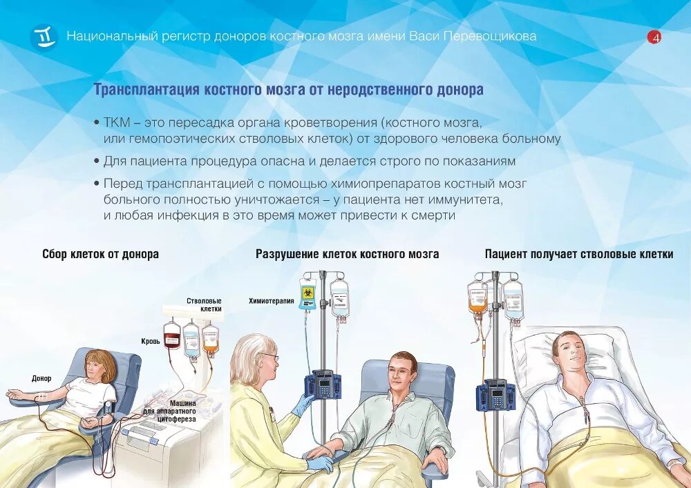 Брать костный мозг больно. Донор костного мозга памятка. химиотерапия памятка пациента. донор костного мозга стволовых клеток. ткм трансплантация костного мозга.