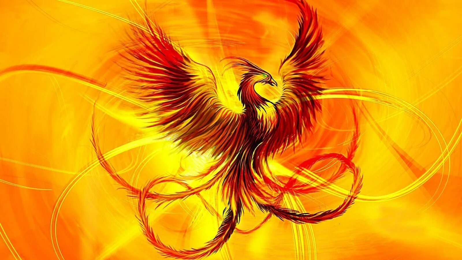 Феникс phoenix. Отряд Феникс. Серафина Феникс. Желтый Феникс. Феникс 17989.