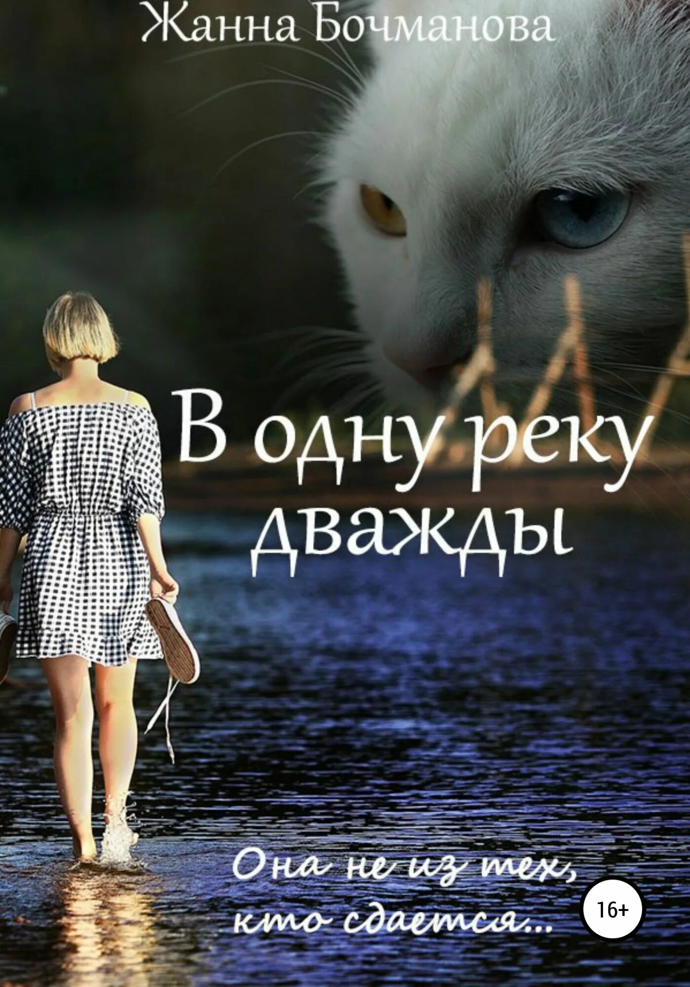 Два раза в одну реку. В одну реку дважды жанна бочманова книга. жанна бочманова. один на реке. дважды в реку.
