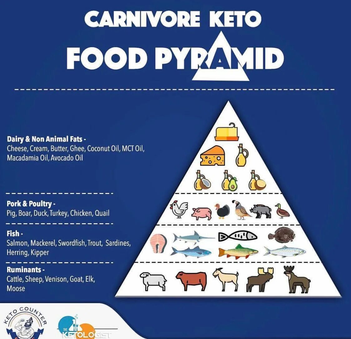 Keto Carnivore. Keto food Pyramid. Пирамида Карнивор диеты. Кето-диета. Карнивор диета меню