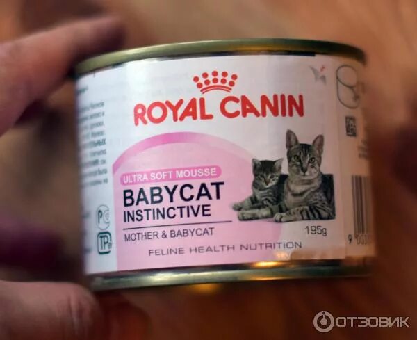 Паштет для котят фото Отзыв о Паштет для котят Royal Canin Babycat Instinctive Нежный качественный паш