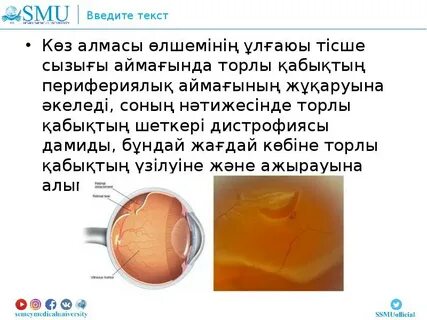 Сіз кисканы ит стиліндегі позицияда көре аласыз