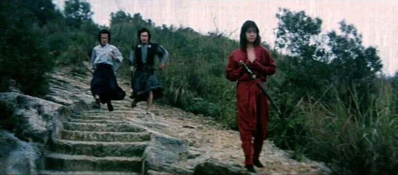 месть ниндзя vhs. бессмертие ниндзя 1983. Ninja connection 1984. бессмертие ниндзя. сила ниндзя 1984.