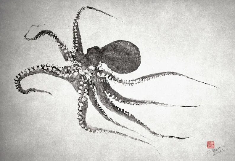 Скелет осьминога. Скелет осьминога реальный. клешня осьминога. осьминог гравюра.