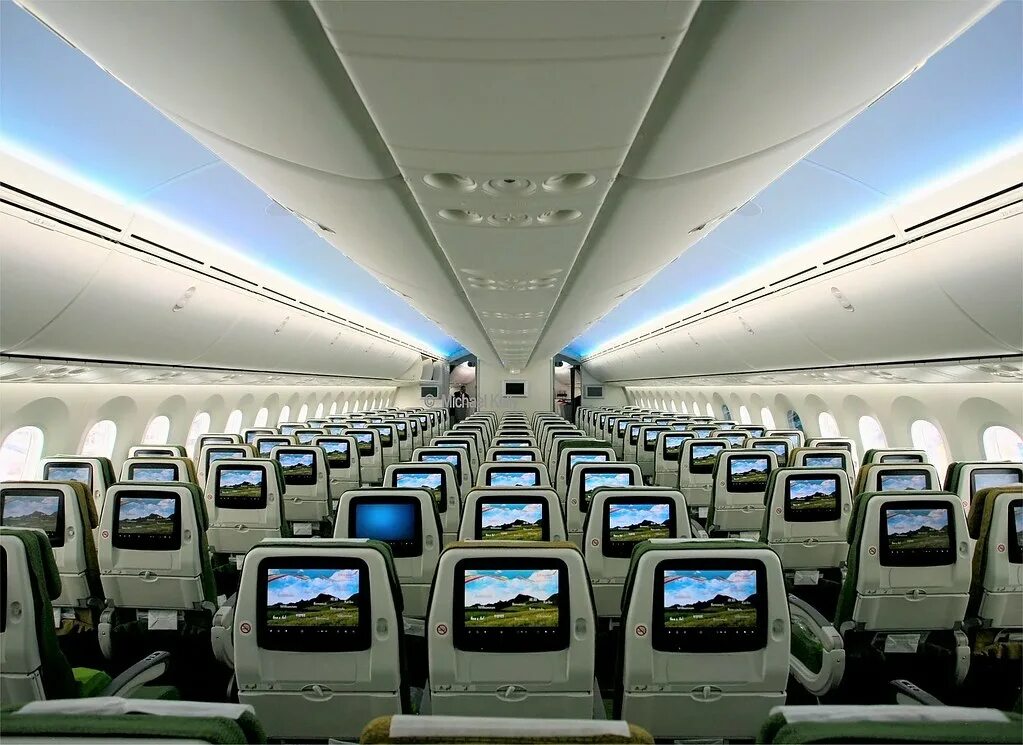 Боинг 787 Ethiopian. Boeing 787 Dreamliner Ethiopian. Ethiopian Airlines Boeing 787 внутри. Боинг 787 8 эфиопские авиалинии. Boeing 787 ethiopian airlines