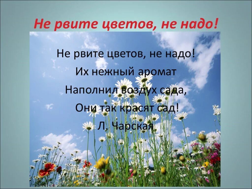 Стих не рвите цветы. Проект на тему цветы в нашей жизни. Аромат цветов наполнял воздух. Плакат не рвите цветы.