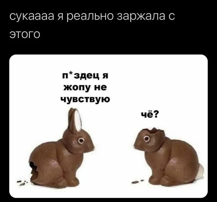 Че ты почувствовал. Шоколадные кролики Мем. Шоколадный заяц прикол. Шоколадные зайцы я не чувствую. Шоколадный заяц Мем.