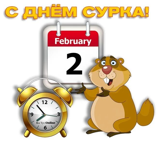 День сурка что это значит выражение. День сурка. день сурка картинки. с днем сурка прикольные. день сурка картинки каждый день.