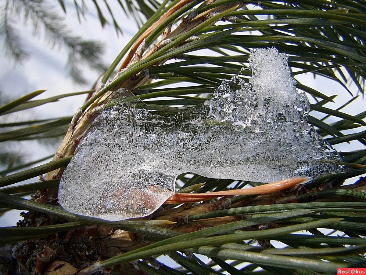 хрусталь зимы