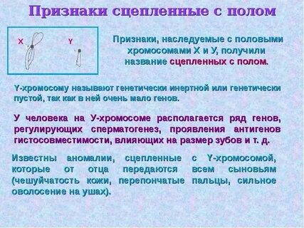 Выявление сцепленности признака с полом у человека