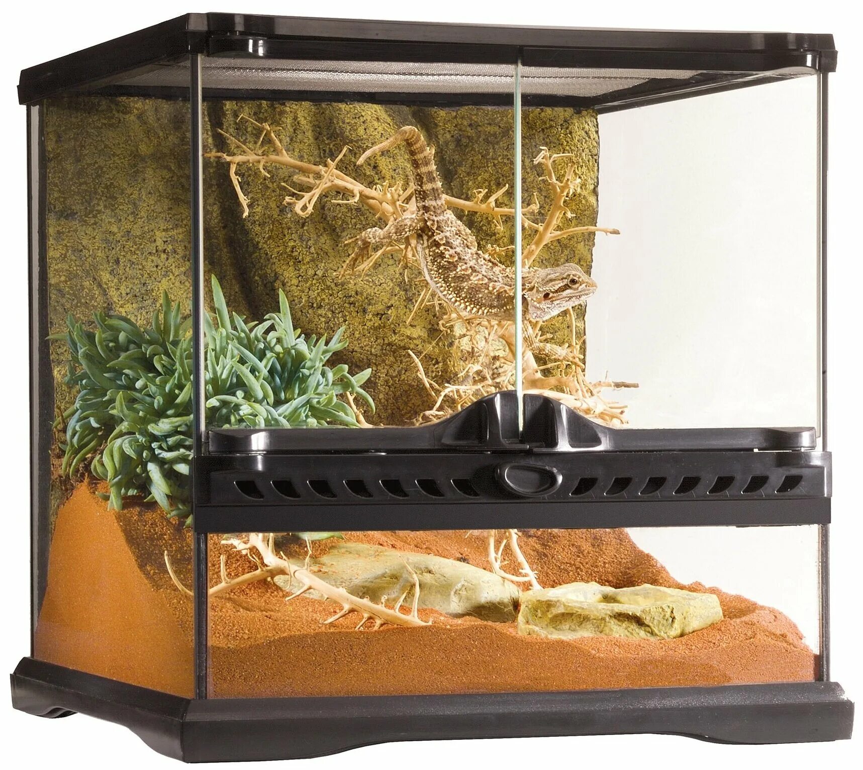 Hagen exo terra. Террариум разновидности. Hagen exo. Exo terra compact top. Exo terra 20x20x20.