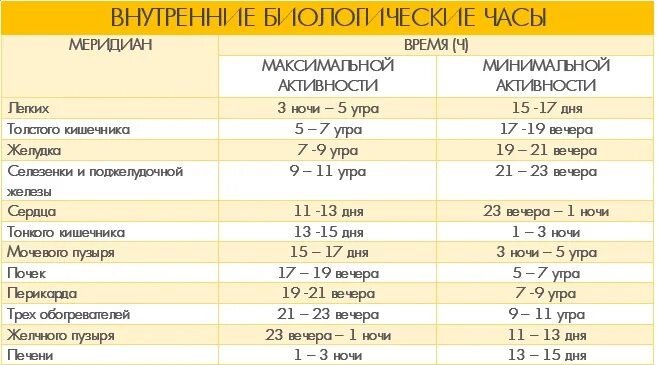 Активность меридианов человека по часам. Меридиан почек время активности. Часы активности почек. Время работы меридианов.