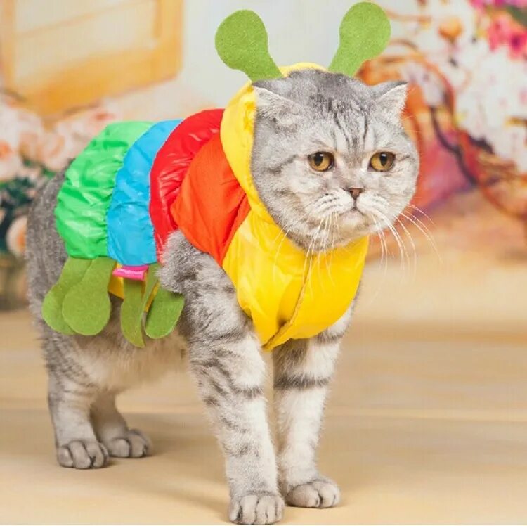 одежда для котиков лютиков из бисера. одежда для котика лютика. костюм кошки. одежда для лютика из бисера схемы. одежда для котиков лютиков.