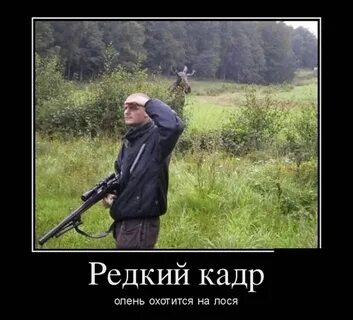 Демотиватор стрелков - 20 шт