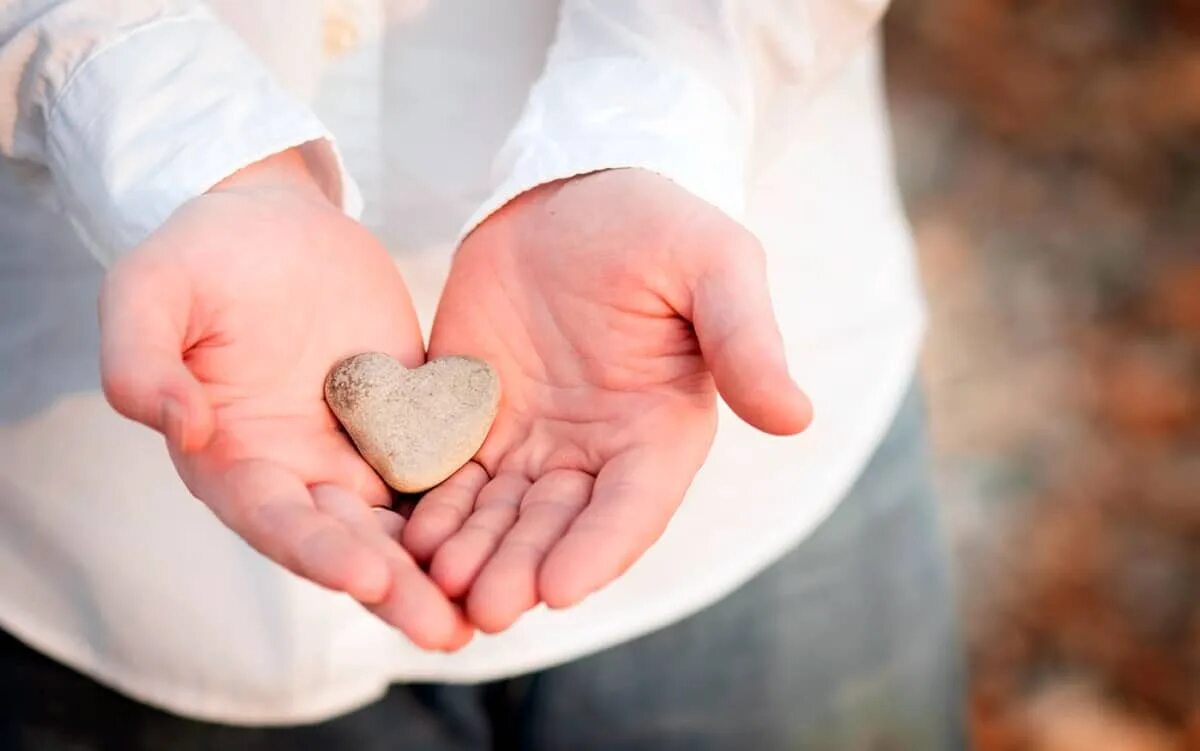 Сердце в ладонях. Сердце. Сердце в руках. Сердце. Здоровый пациент.