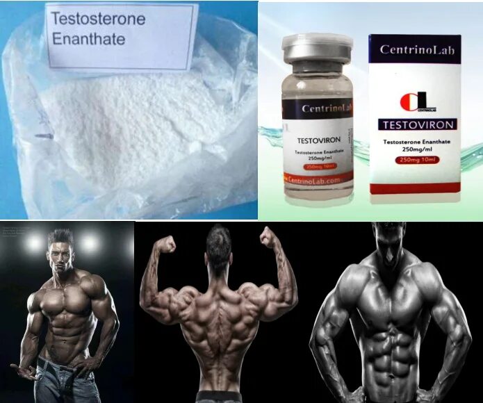 Тестостерон. Тестостерон в бодибилдинге. Андреас тестостерон. Testosterone Enanthate спортивная.