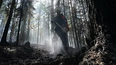 Хозяева земли 2