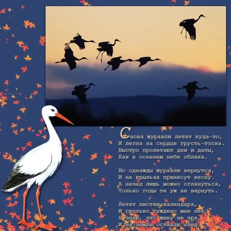 Стихотворение тройка. Стих журавли. Летели дни года летели неведомо куда. Летели дни года летели неведомо куда. Цитаты как быстро пролетают года.