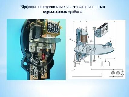 Шұлықтағы маймылдар