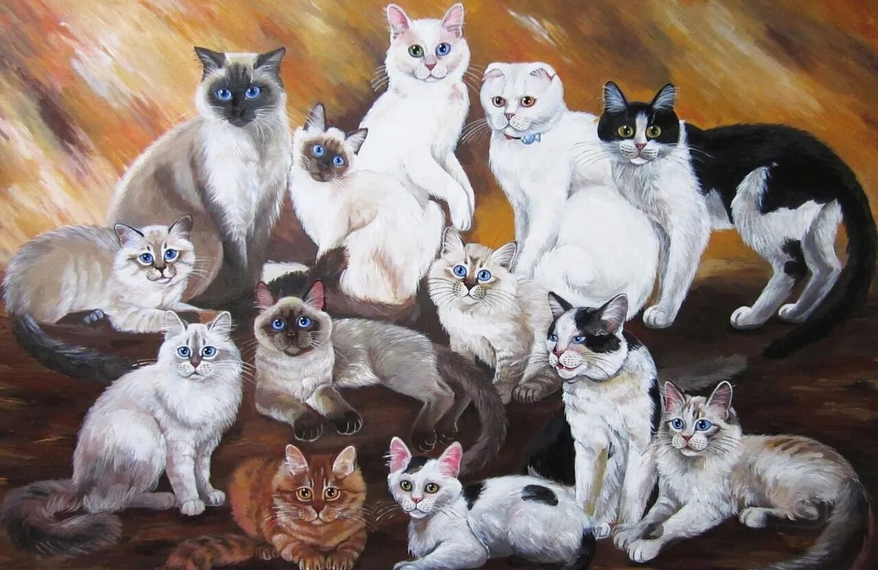 Котика 13. Котика 13. Кошка с котятами. Картина много котов. Котика 13.