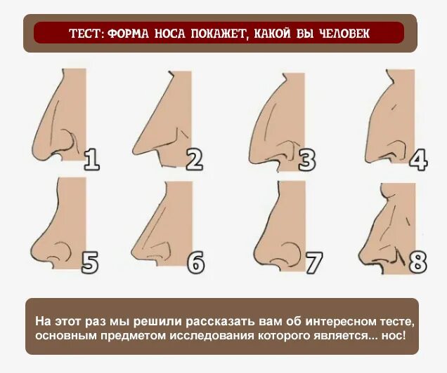 Почему нос назвали носом. Различные формы носа. Типы формы носа. Форформы носа. Форма носа названия.