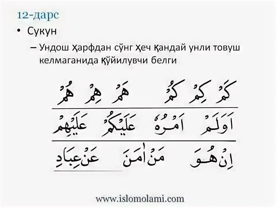 Сукун в арабском. Тажвид дарслари 12-дарс. Тажвид дарслари 1-дарс. Сукун арабском языке. Араб тилида тажвид дарслари 1-дарс.