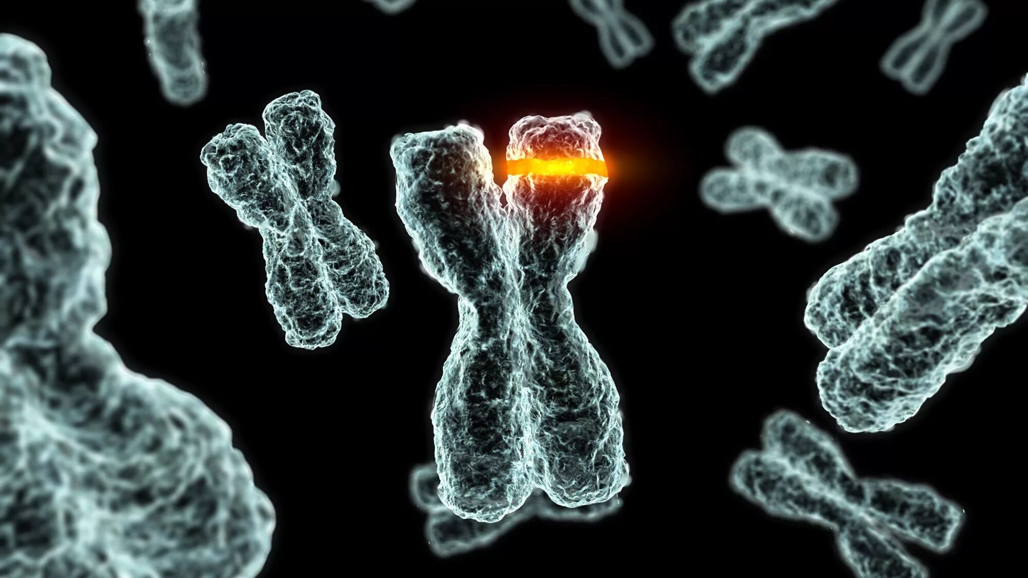 Вызывает изменение хромосом. Хромосомные аберрации. Болезни обусловленные изменениями структуры хромосом. Фрагментация хромосом. Хромосомные мутации.