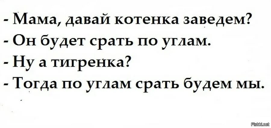 Мать дола. Давай заведем котика. Мама давай заведем тигренка анекдот. Мама давай купим котенка анекдот. Мама давай заведем котенка.