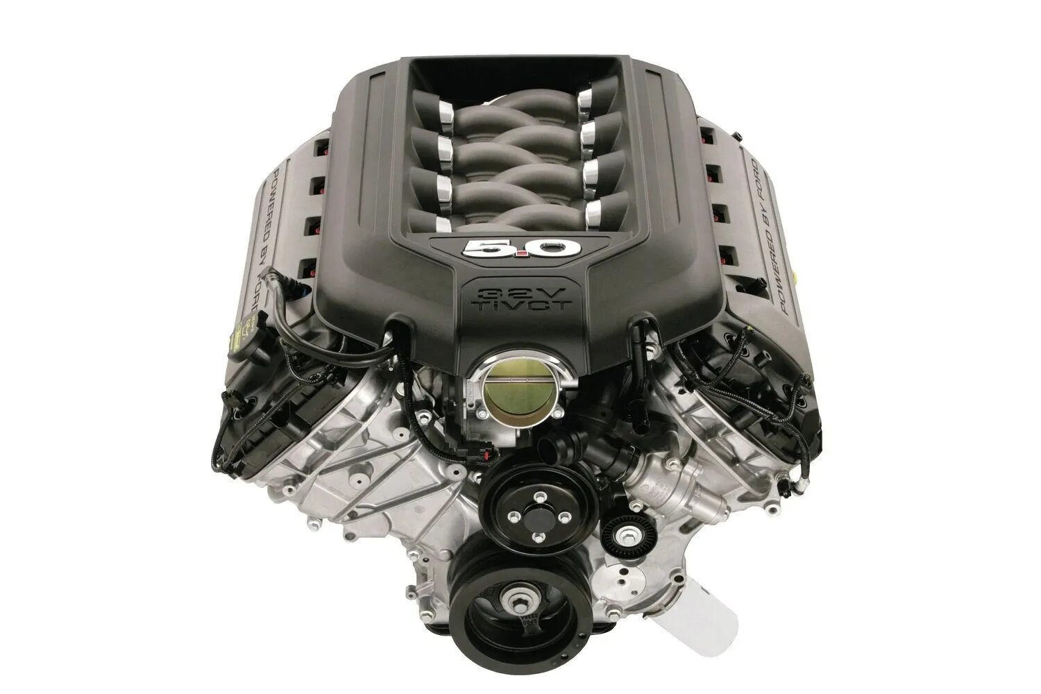 L v 8 8. L v 8 8